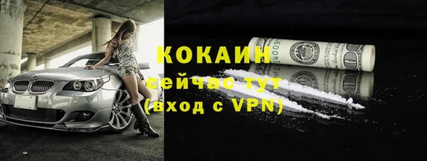 тгк Каменногорск