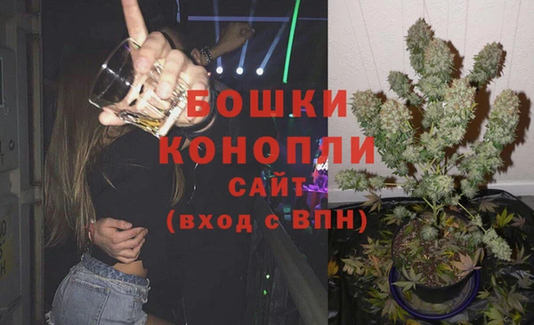 тгк Каменногорск