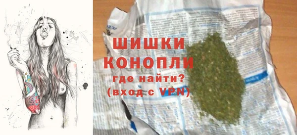 тгк Каменногорск